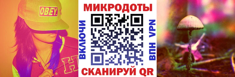 Псилоцибиновые грибы Psilocybe  Купить где  Аргун 